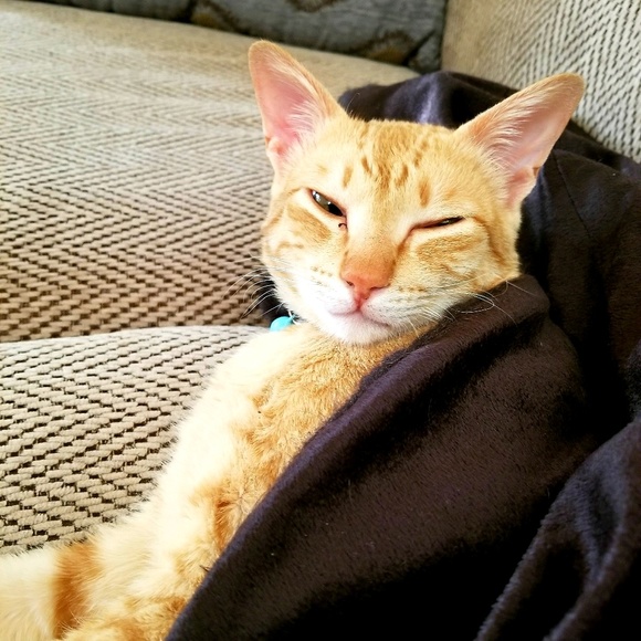 Meet your Posher, Maria - Picture 1 of 1